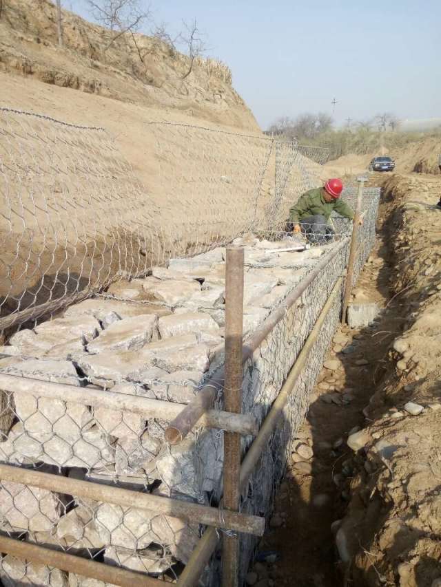 僸ߠ������e�W(w��ng)��(y��u)��(sh��)