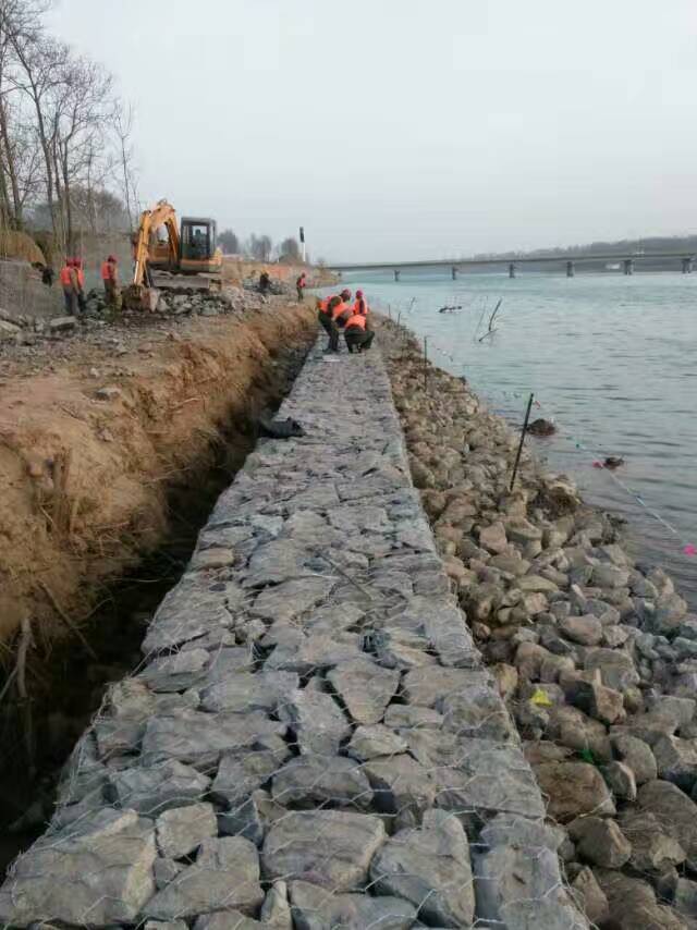 �U�zʯ�\�W(w��ng)�|��(y��u)�ݺͰl(f��)չڅ��