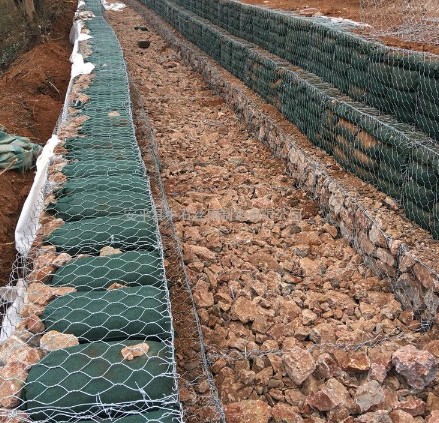 ���B(t��i)��W(w��ng)�o(h��)�|