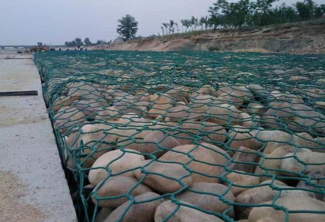 ������g���B(t��i)�̞Iʯ�\�|