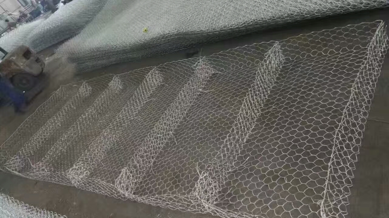 ����\���e�o(h��)�|�o(h��)��