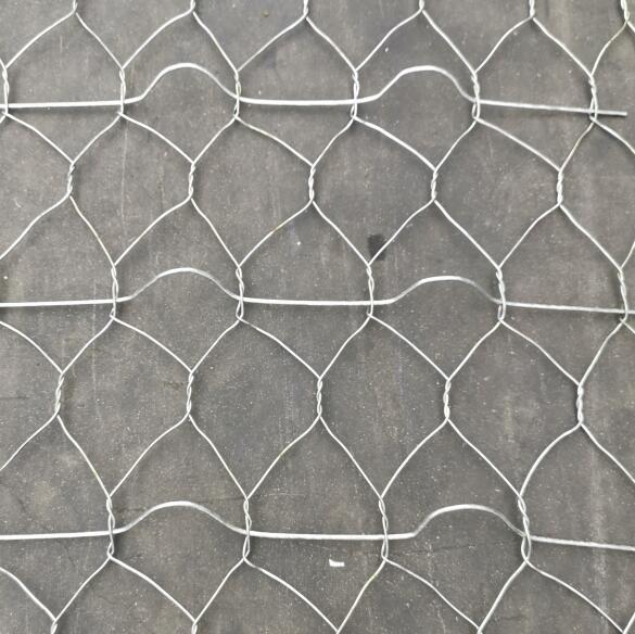 ��\·��ӽ�W(w��ng)�F(xi��n)؛