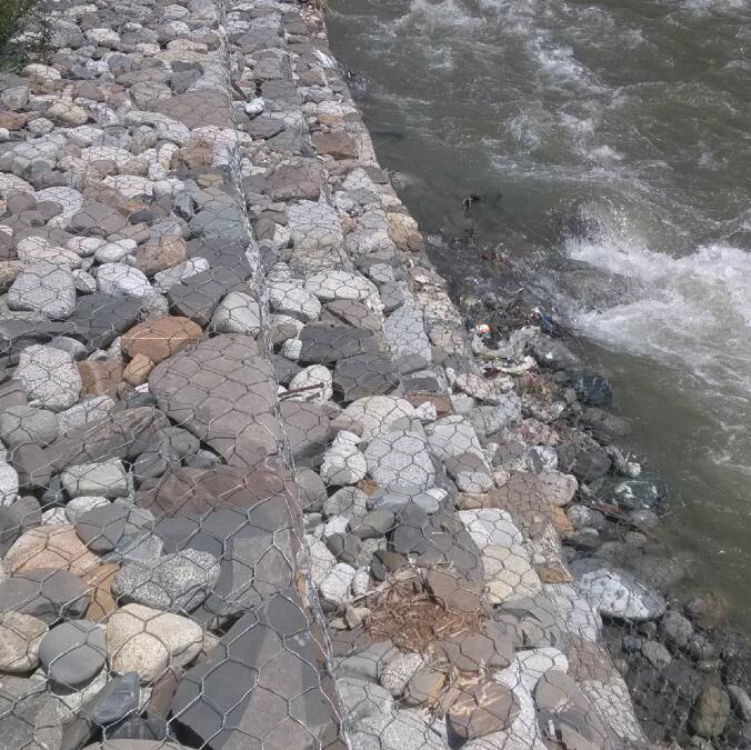 ��\�F�z�W(w��ng)15531868633