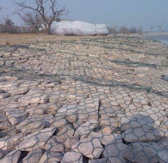 �ӵ����Z�o(h��)�|