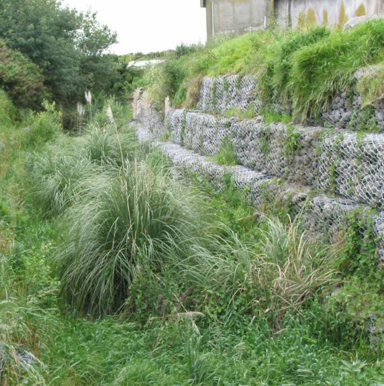 ���B(t��i)���eʯ�\�W15531868633