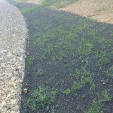 ���Z�o(h��)�|�S��15531868633