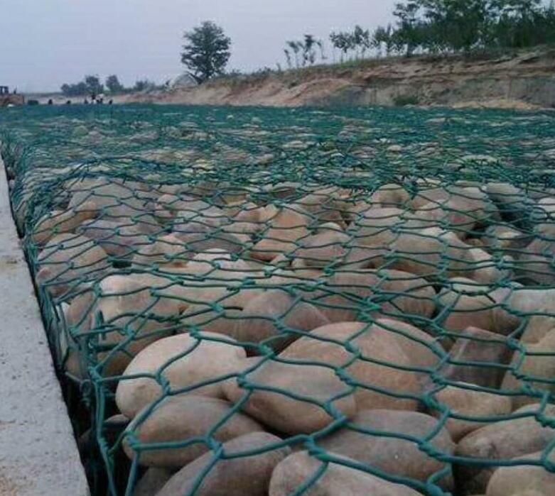 僸ߠ����������Z�o(h��)�|�đ�(y��ng)��Ч��