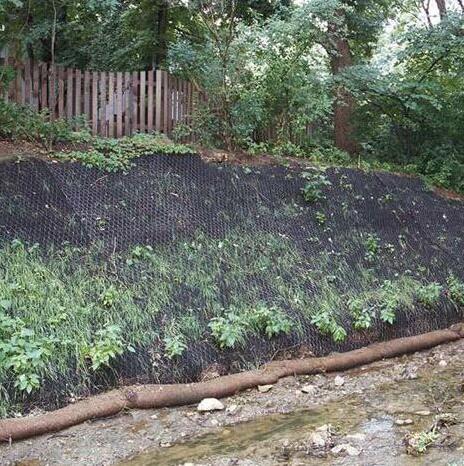 僸ߠ����ӽ����ˉ|