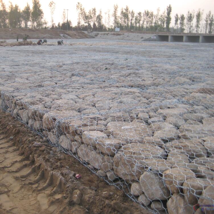 ��\���eʯ�\�W(w��ng)�|