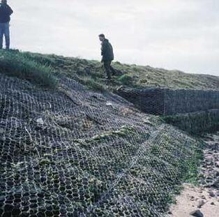 ���e�W(w��ng)�o�S��15531868633