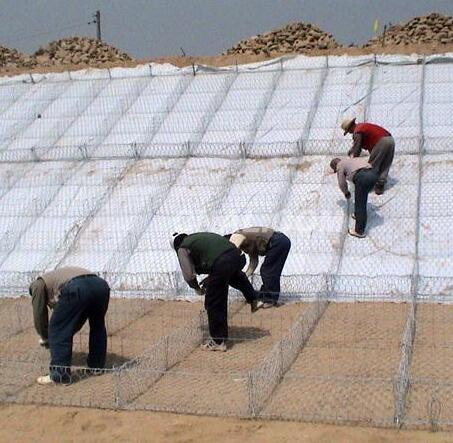 ʯ�\���e�W(w��ng)15531868633