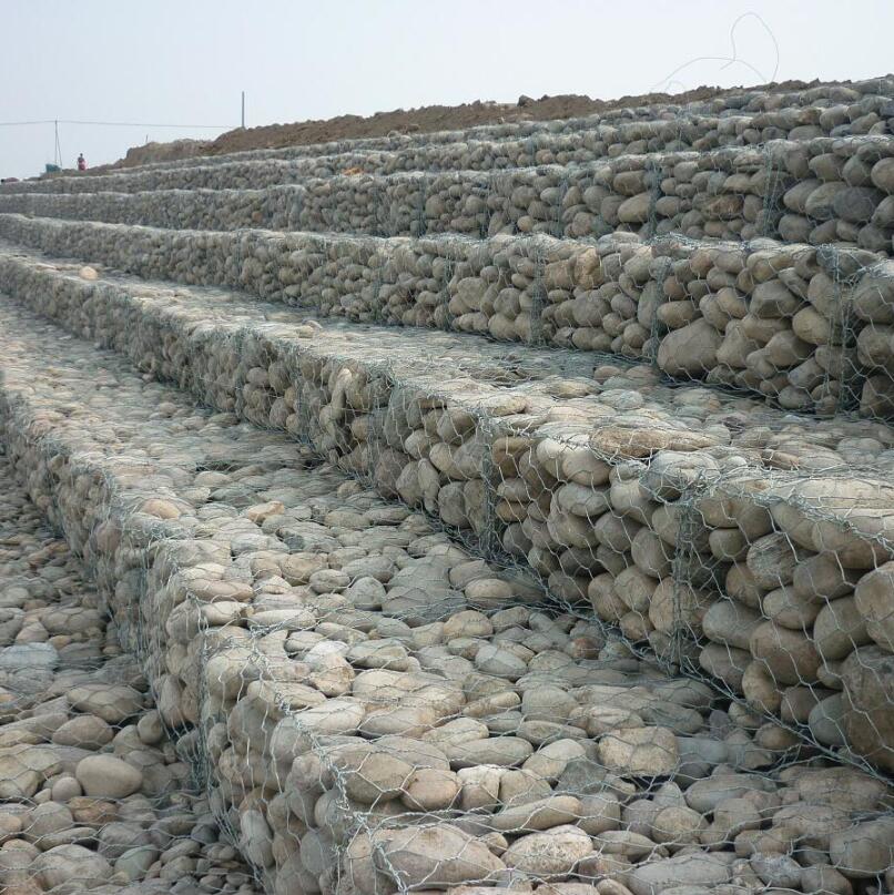 ���Z�o(h��)�|�����W(w��ng)