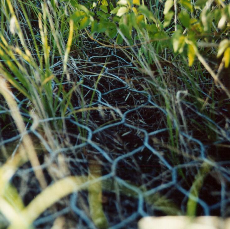 Ϳ��peʯ�\�W(w��ng)��15531868633