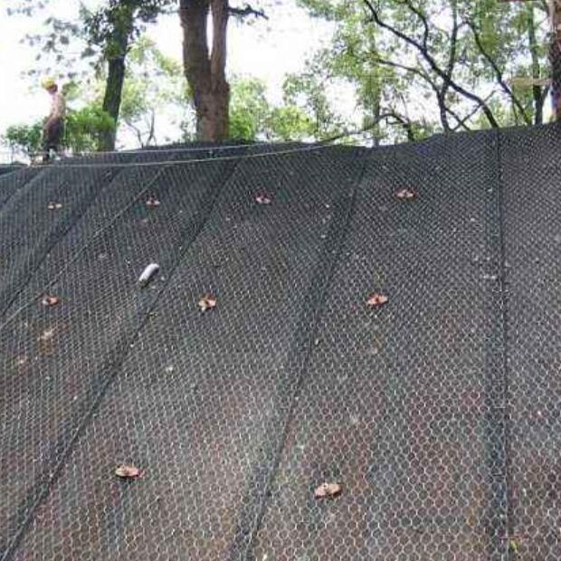 �ӽ����ˉ|15531868633