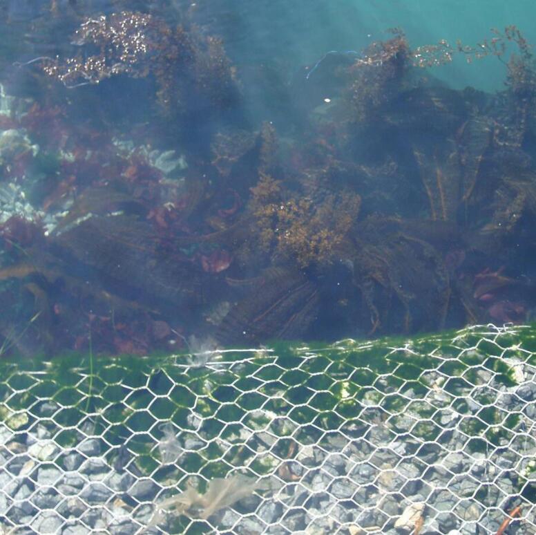 ��g���B(t��i)��W(w��ng)