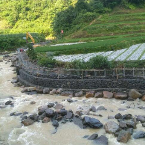 䓽�W(w��ng)ʯ�\