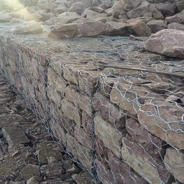 僸ߠ������Z�o(h��)�|�r(ji��)��