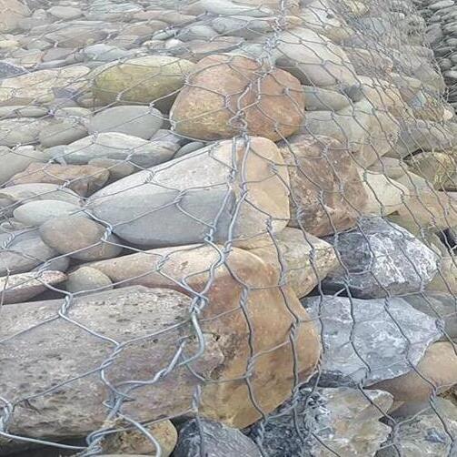 ���e�W(w��ng)�|15531868633