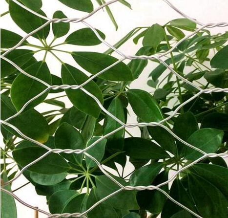 ���B(t��i)��Wʯ�\15531868633