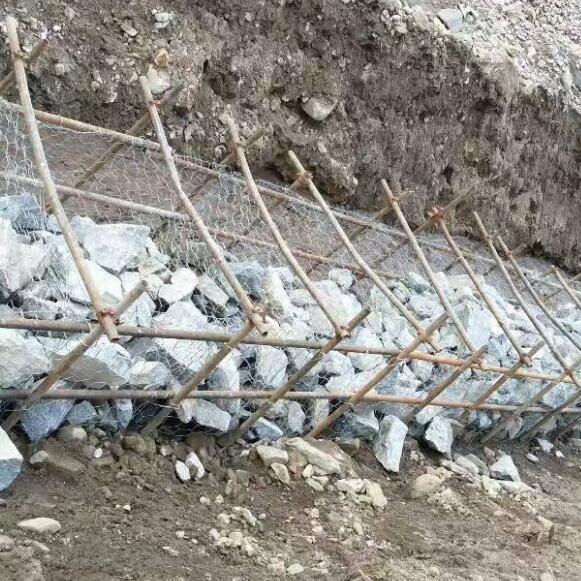 ���B(t��i)��W(w��ng)ʯ�\