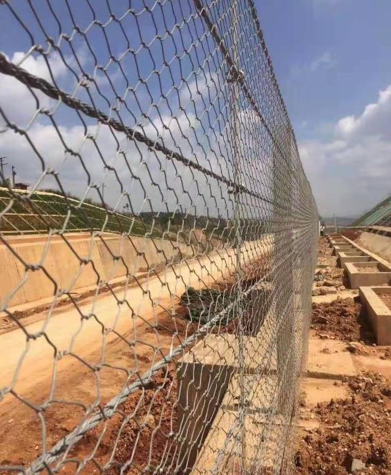 ���e�W(w��ng)�S15531868633