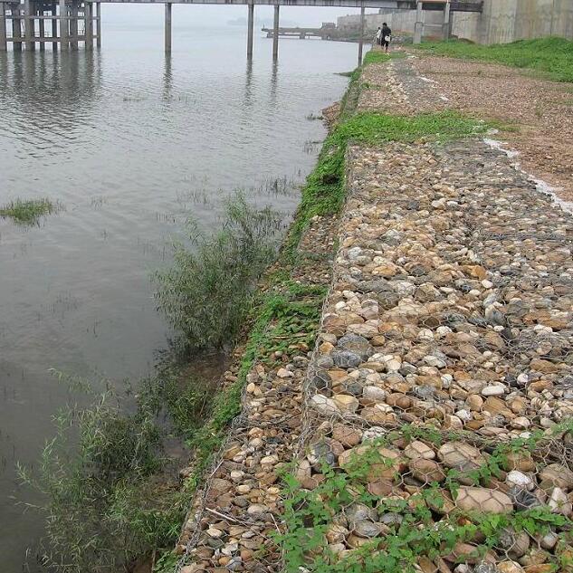 ���e�����W