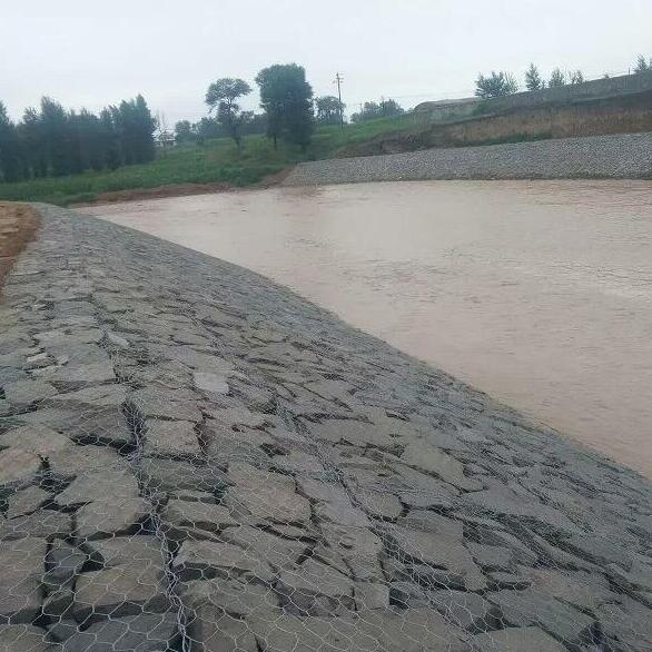 ʯ�\�W(w��ng)��S