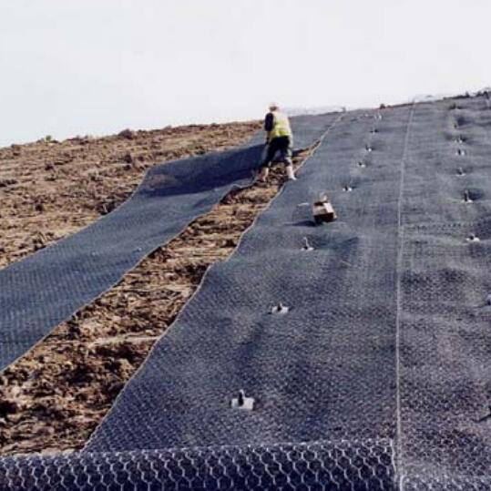 ���S���ˉ|15531868633