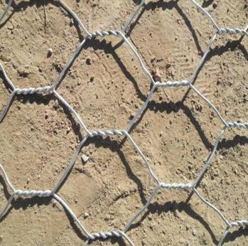 �ӵ�����ʯ�\�W(w��ng)