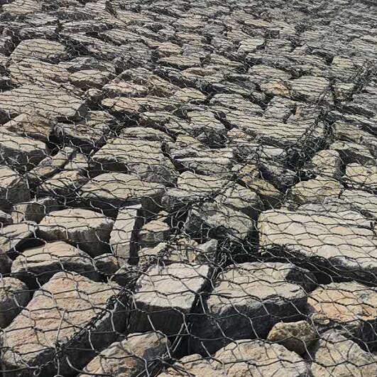 ���B(t��i)���e�W(w��ng)�o(h��)��