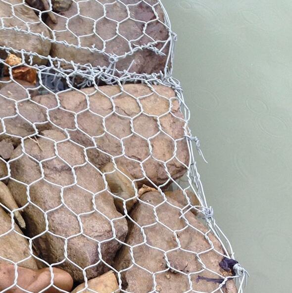 5%�\�X�Ͻ���e�W(w��ng)